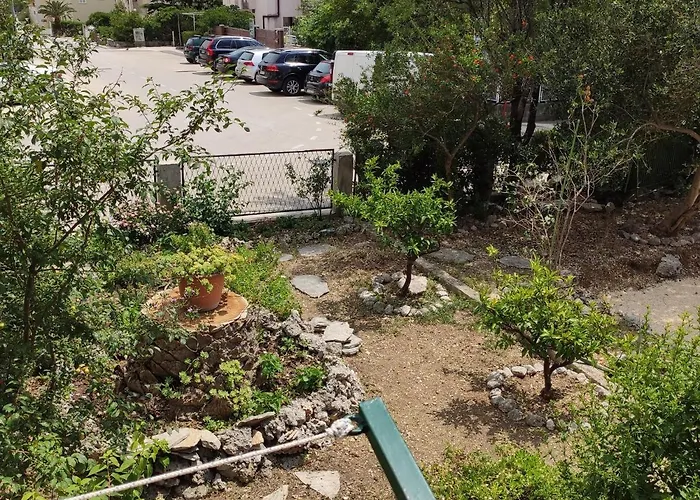 Iv&an * 马卡尔斯卡