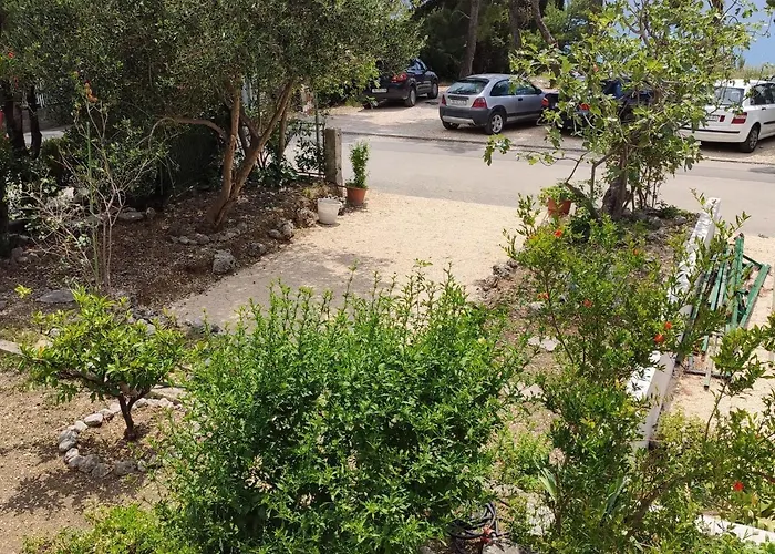 Iv&an * 马卡尔斯卡